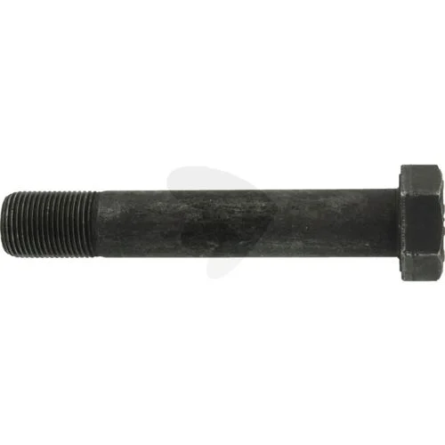 sagro1-1545210