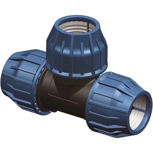 sagro1-1565600