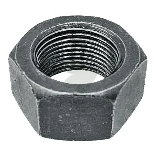 sagro1-1586575