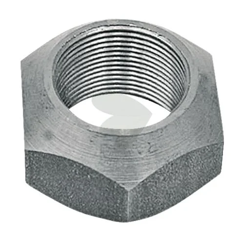 sagro1-1586580