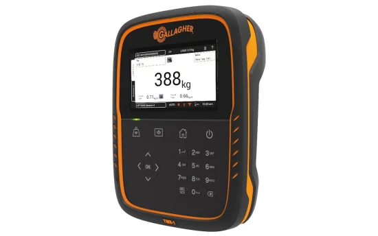 sagro1-1605653